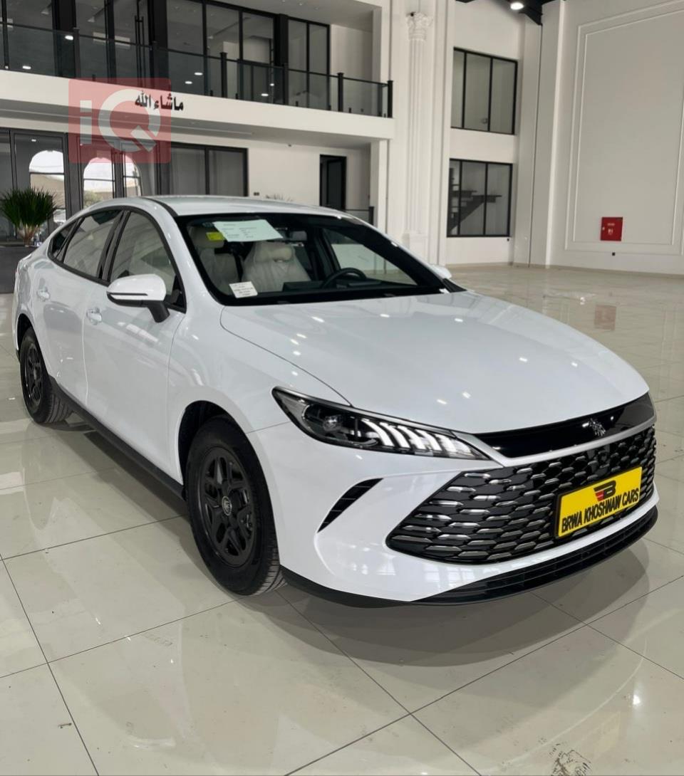BYD Qin Plus